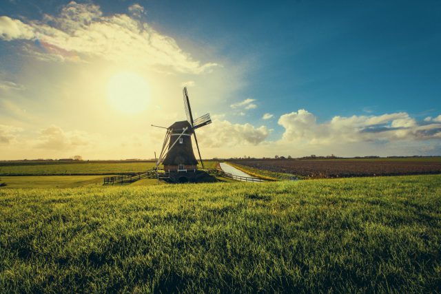 5-steps-to-obtain-residency-in-the-netherlands-without-a-lawyer